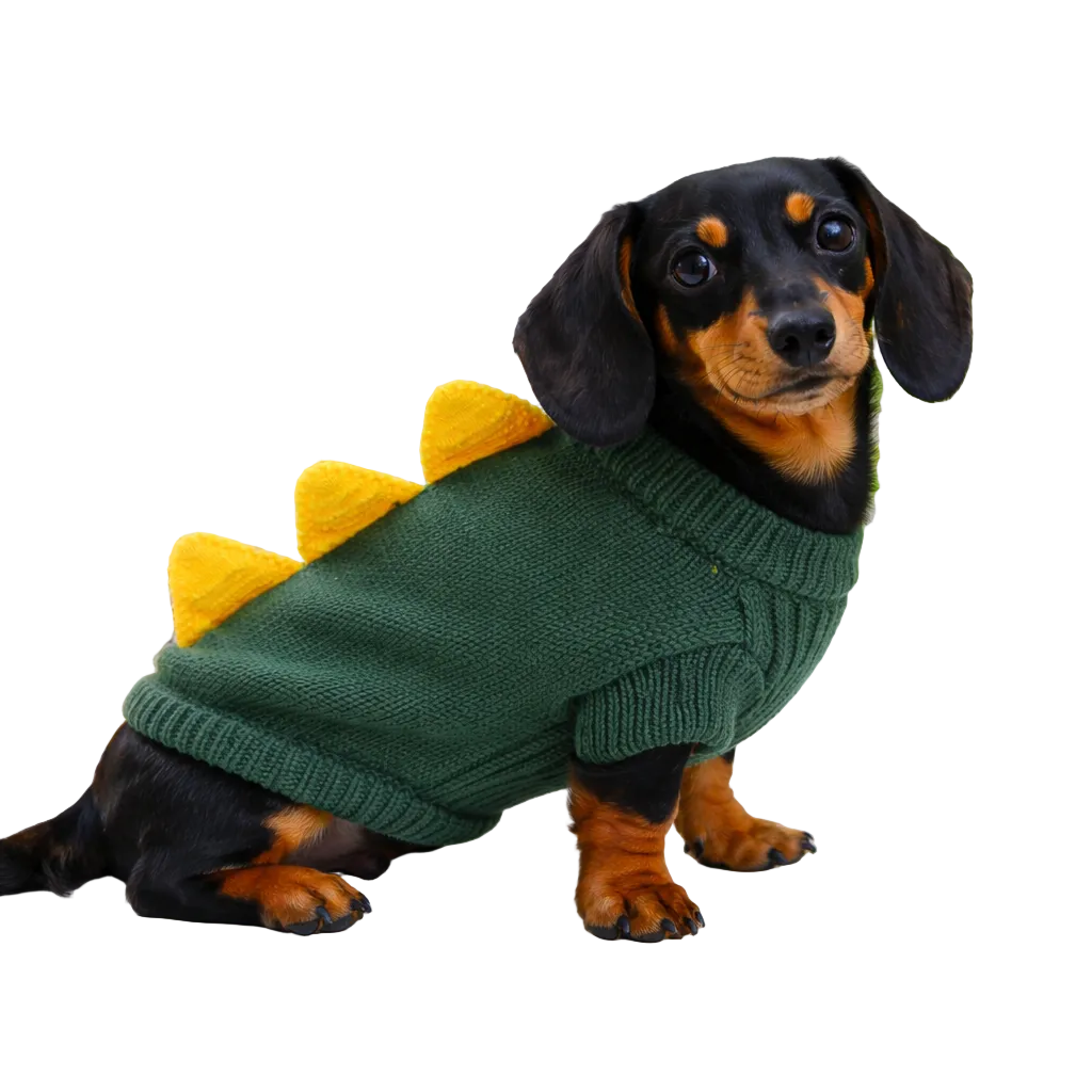 Suéter Dinosaur