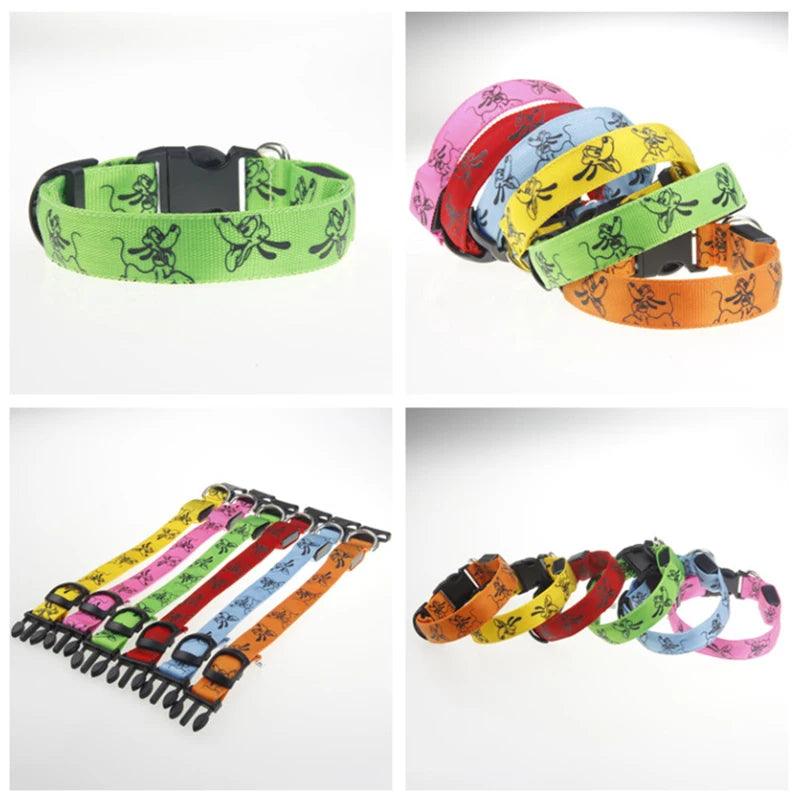 Collar Nocturno Led de Nylon