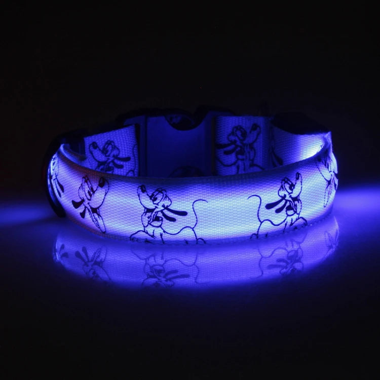 Collar Nocturno Led de Nylon