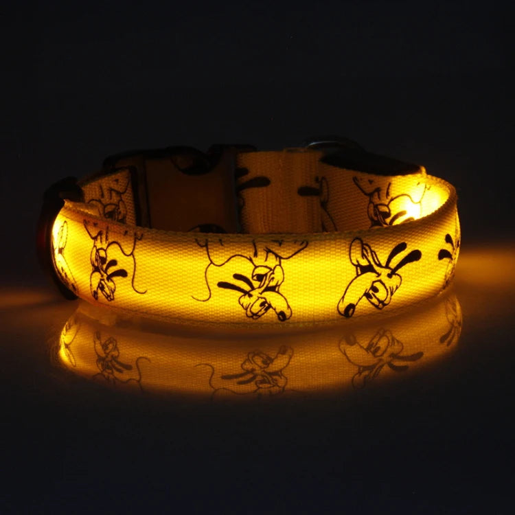 Collar Nocturno Led de Nylon