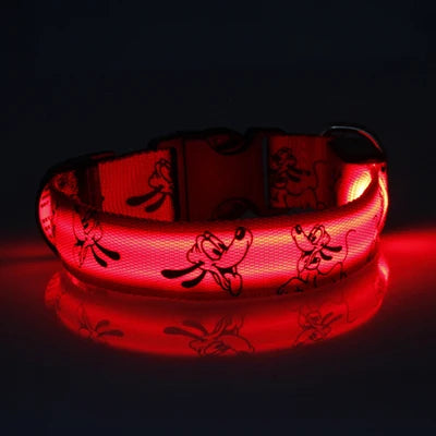 Collar Nocturno Led de Nylon