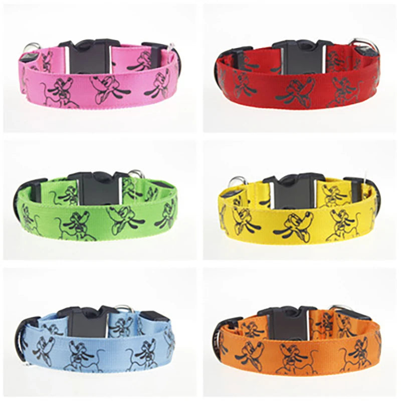 Collar Nocturno Led de Nylon