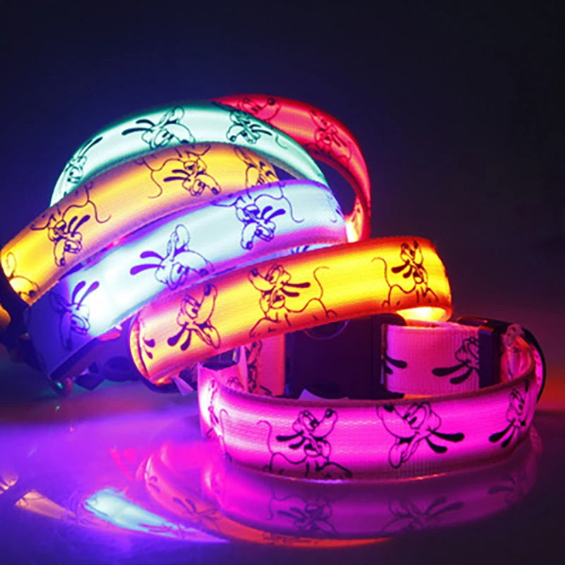 Collar Nocturno Led de Nylon