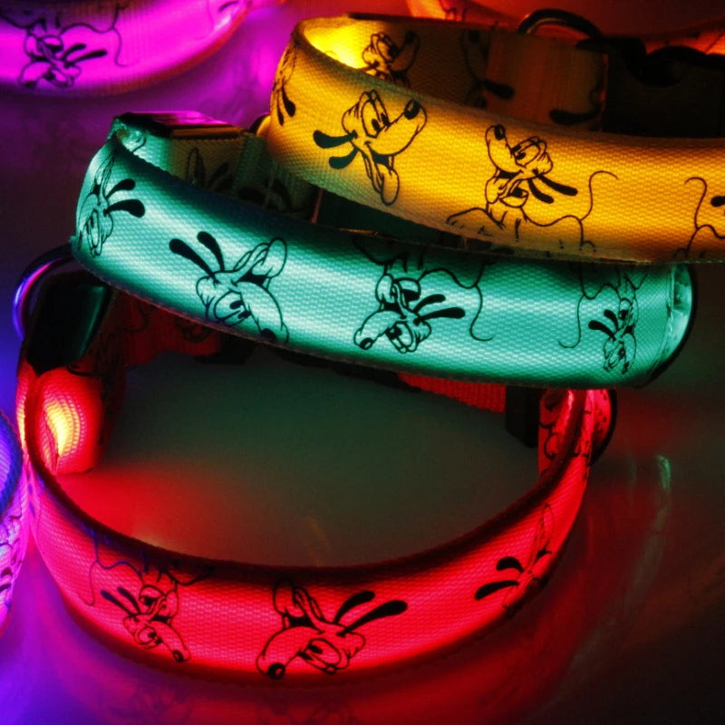 Collar Nocturno Led de Nylon