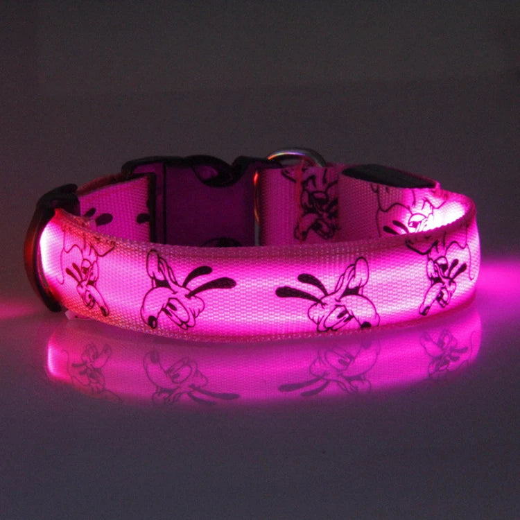 Collar Nocturno Led de Nylon