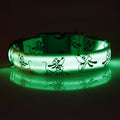 Collar Nocturno Led de Nylon