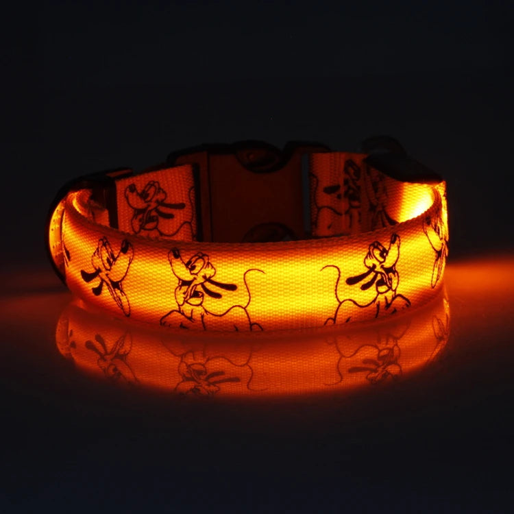Collar Nocturno Led de Nylon