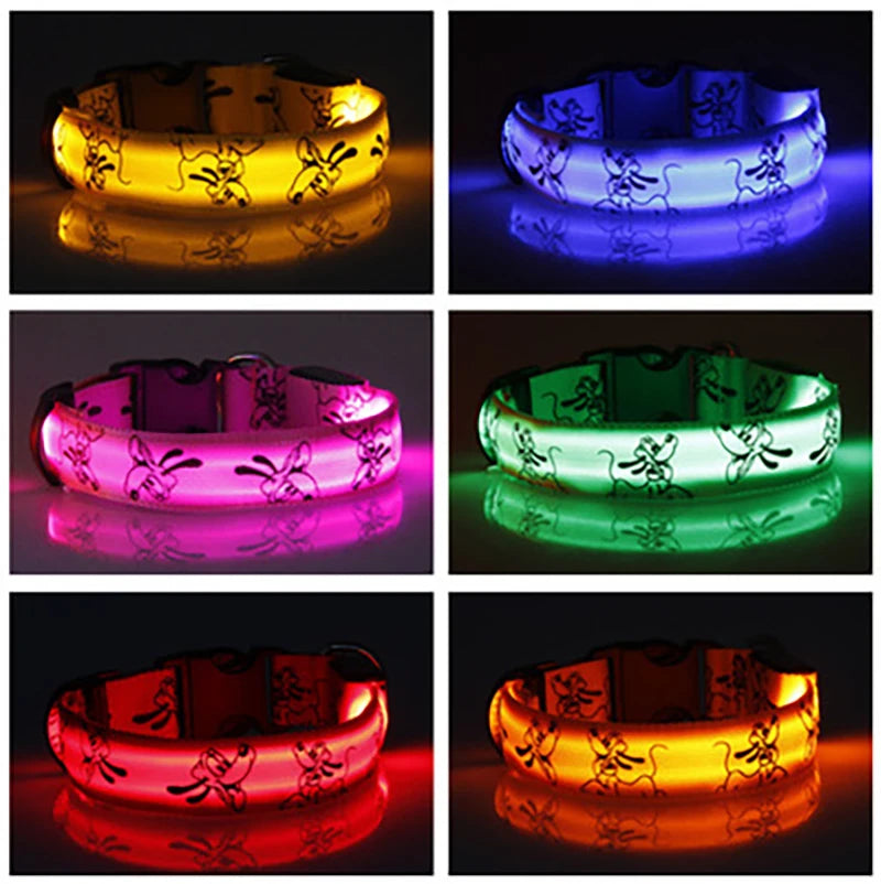 Collar Nocturno Led de Nylon