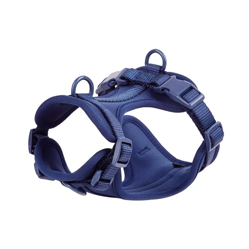 Arnés Londog Basics