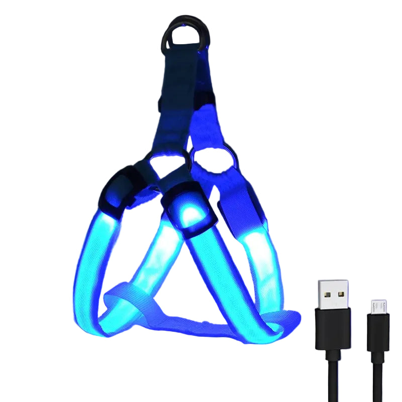Arnés Led Recargable