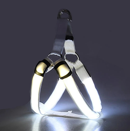 Arnés Led Recargable