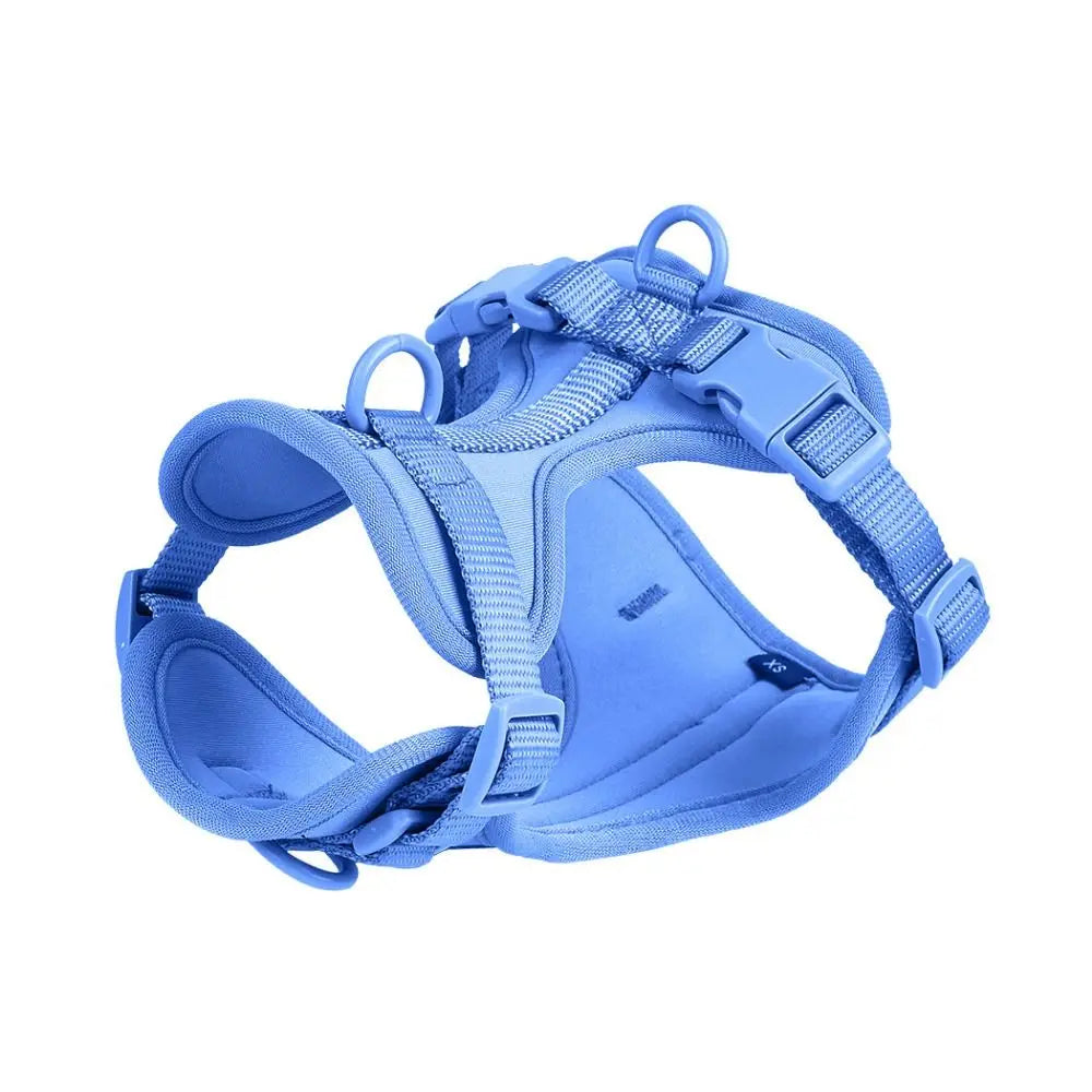 Arnés Londog Basics
