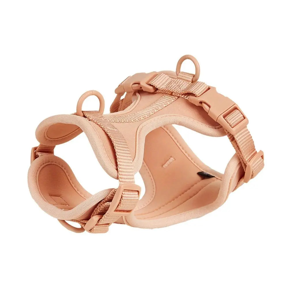Arnés Londog Basics
