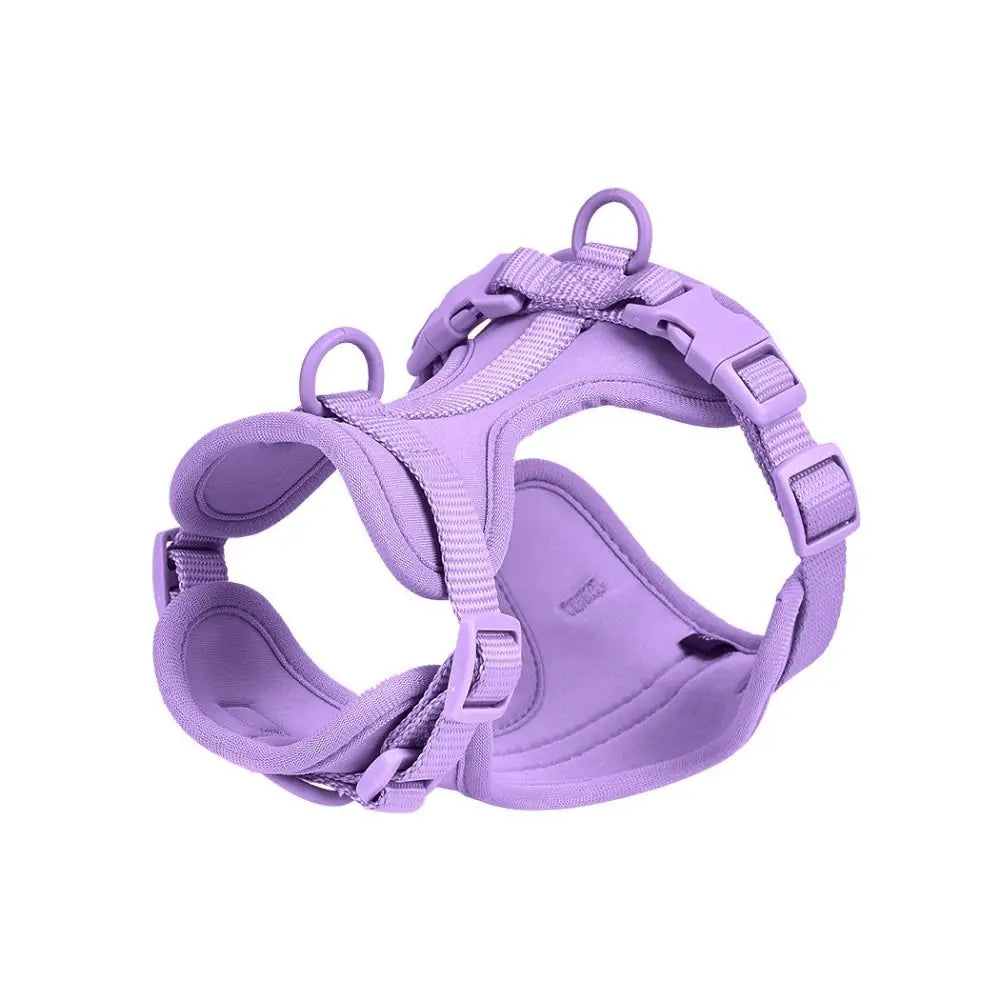 Arnés Londog Basics