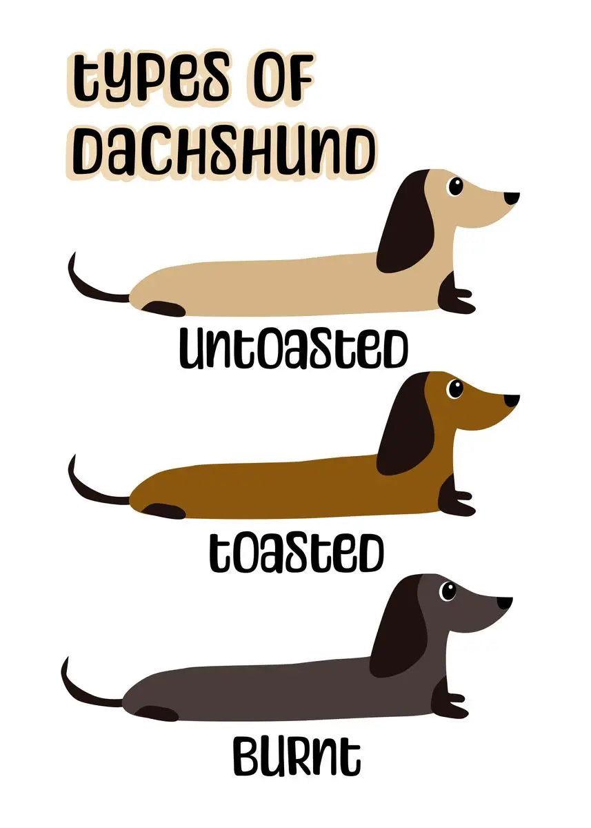 Poster dibujos salchi