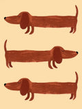 Poster dibujos salchi