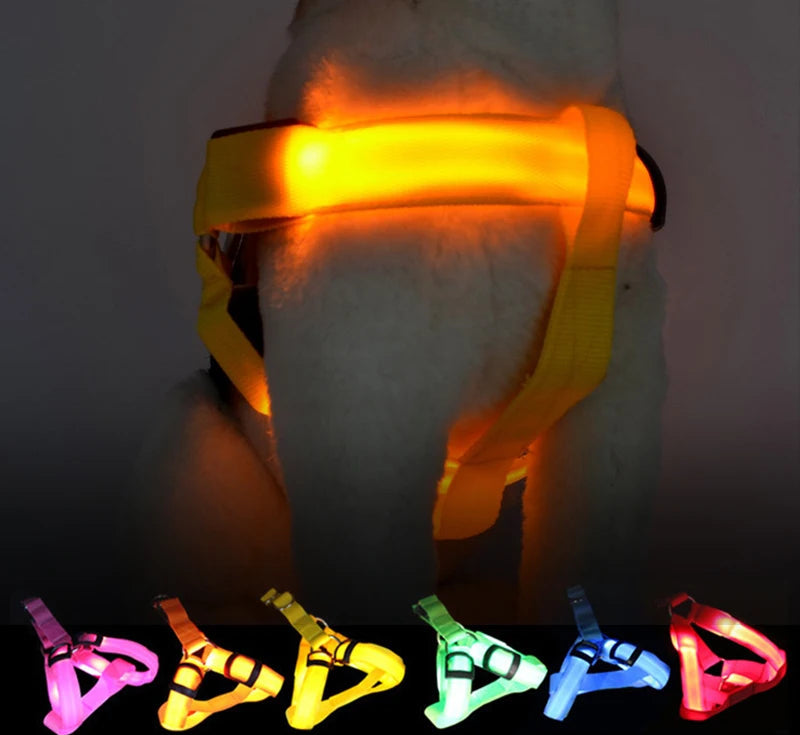 Arnés Led Recargable