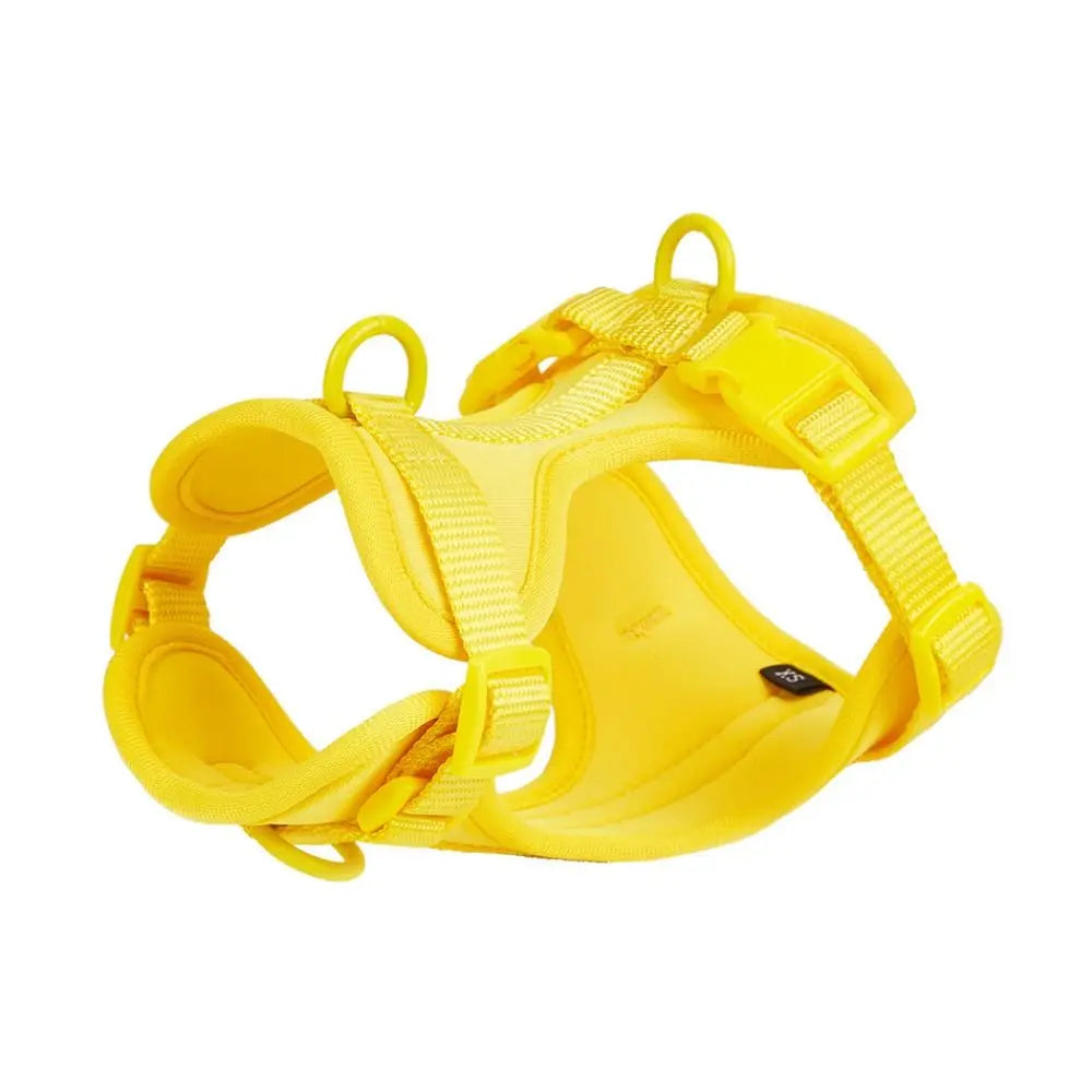 Arnés Londog Basics