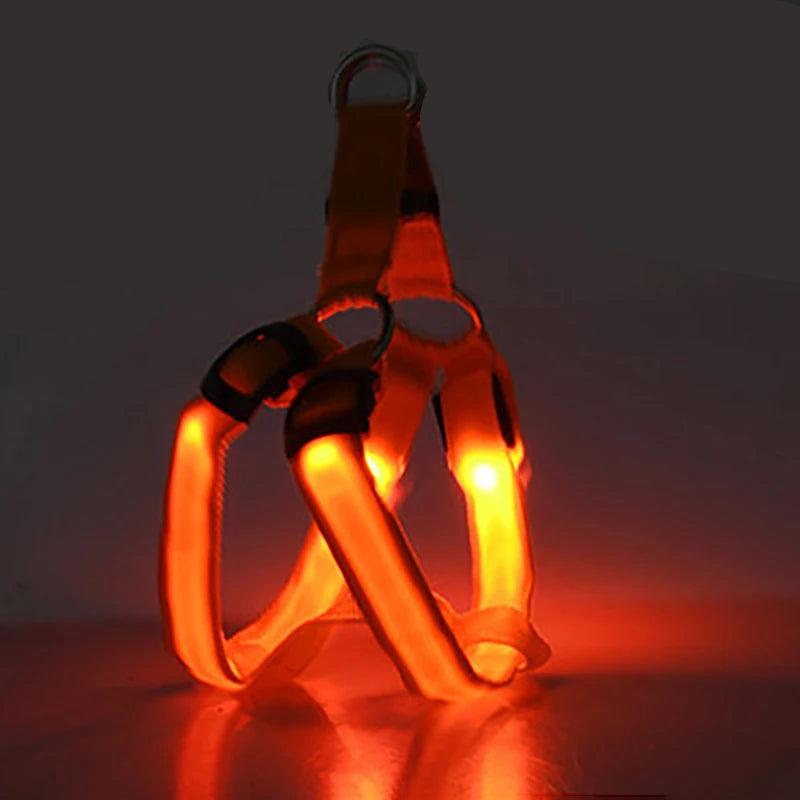 Arnés Led Recargable