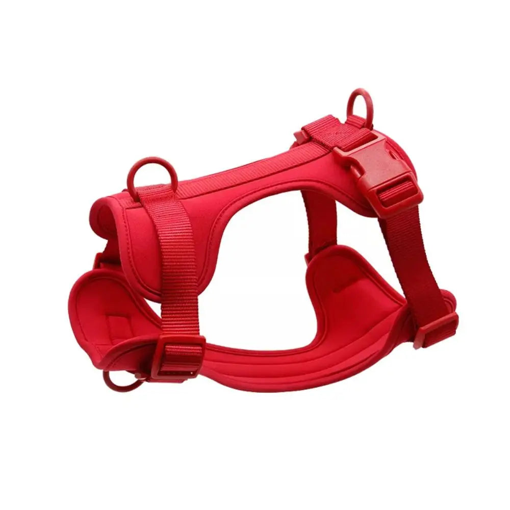 Arnés Londog Basics