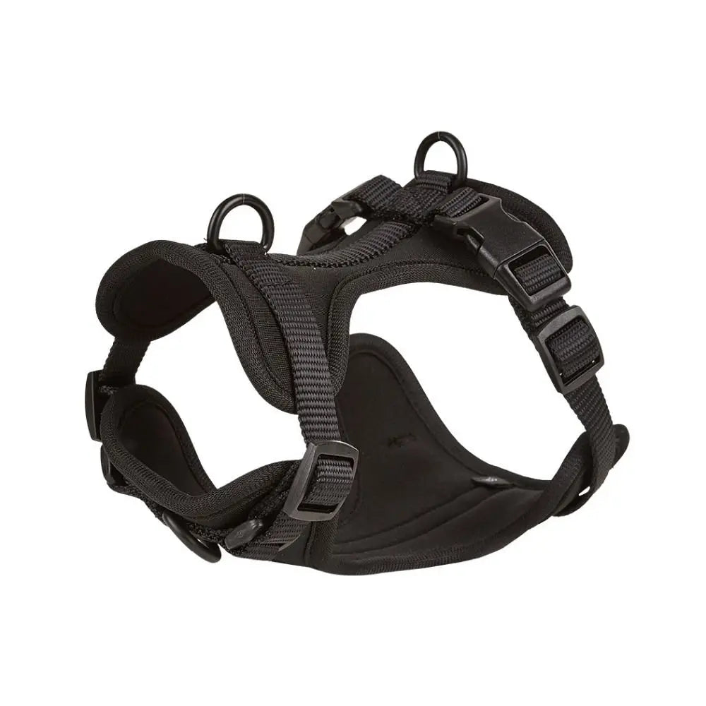 Arnés Londog Basics