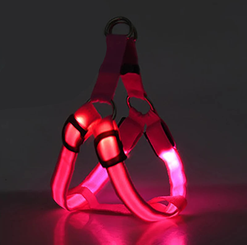 Arnés Led Recargable