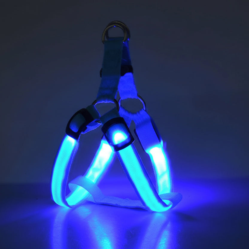 Arnés Led Recargable