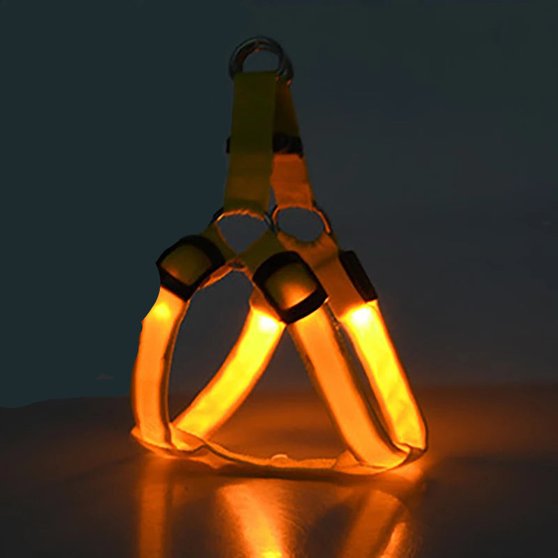 Arnés Led Recargable